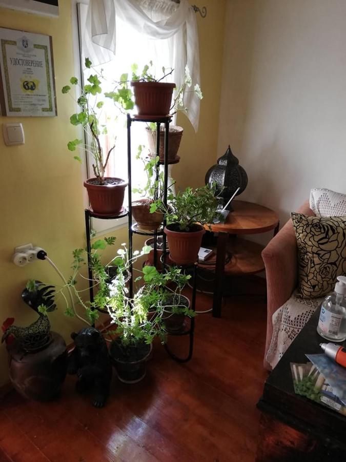Guest House Vodolei 科泰尔 外观 照片