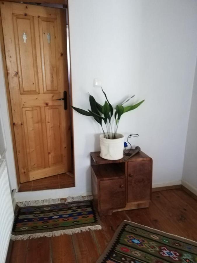 Guest House Vodolei 科泰尔 外观 照片