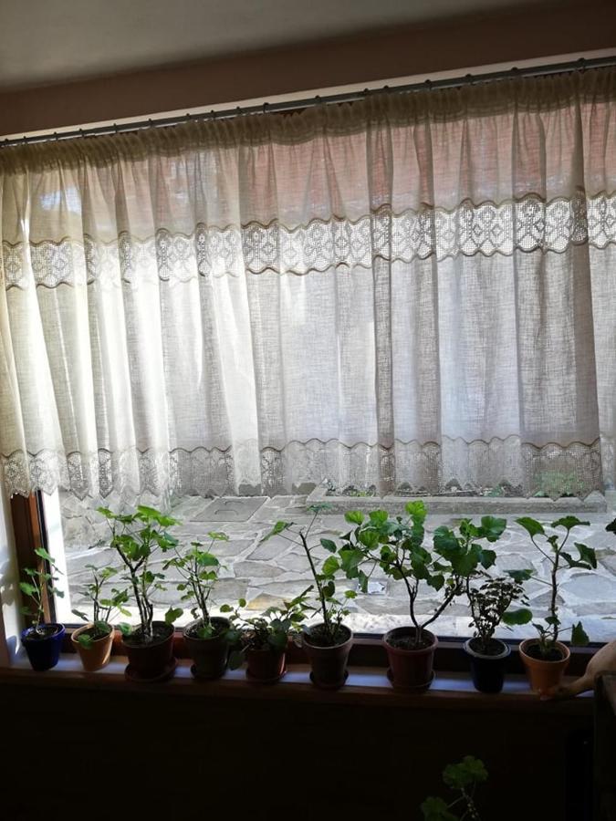 Guest House Vodolei 科泰尔 外观 照片
